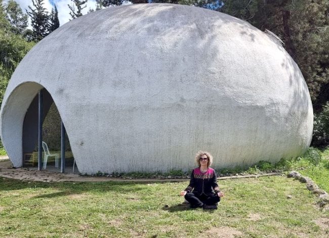 дая ананди неве шалом