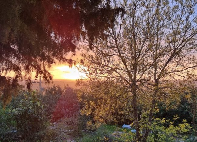 IMG_20220826_131345_232